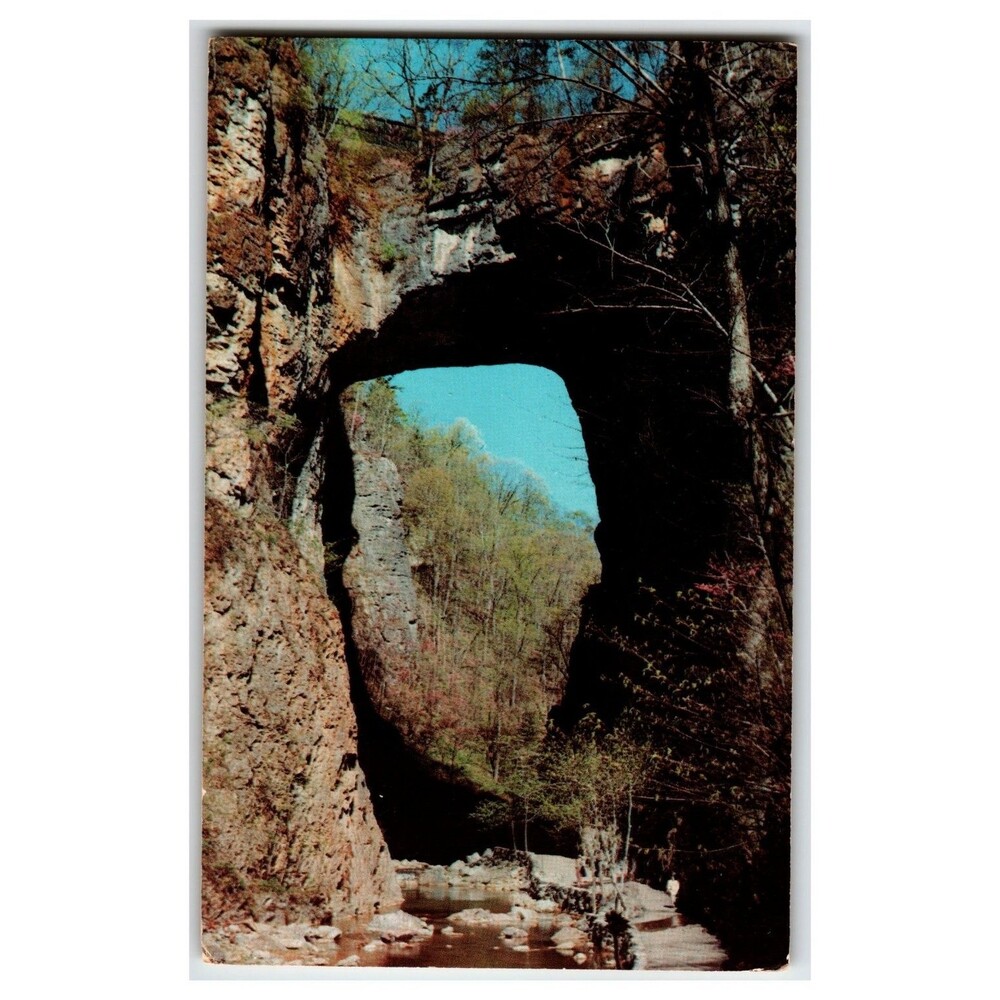 Natural Bridge VA Vintage Postcard - Herbert Lanks Color Photo Scenic View